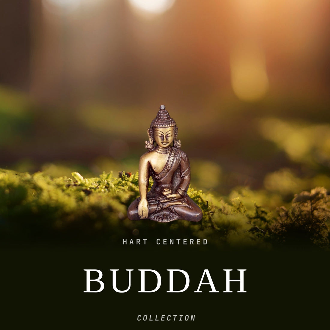 Buddha Collection