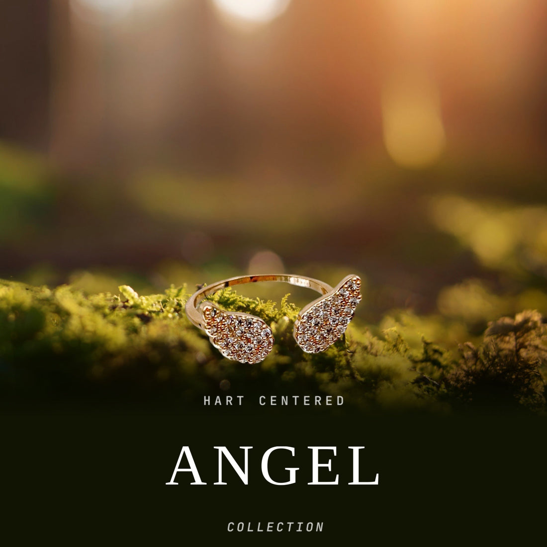 Angel Collection