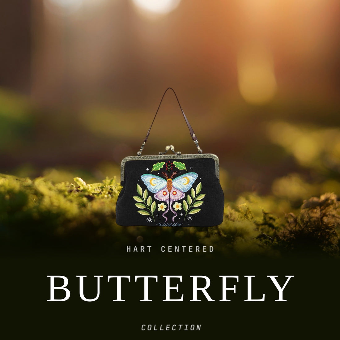 Butterfly Collection