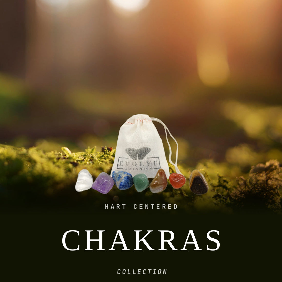 Chakras Collection