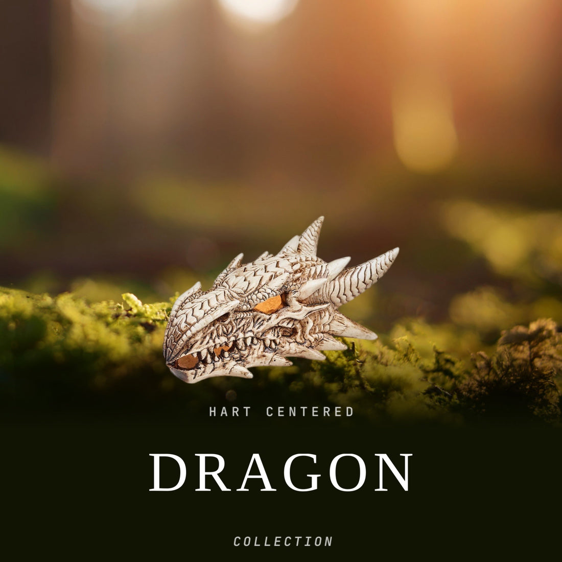 Dragon Collection