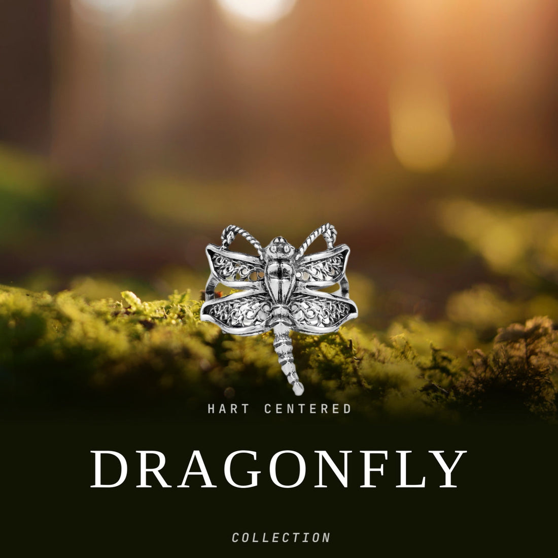 Dragonfly Collection