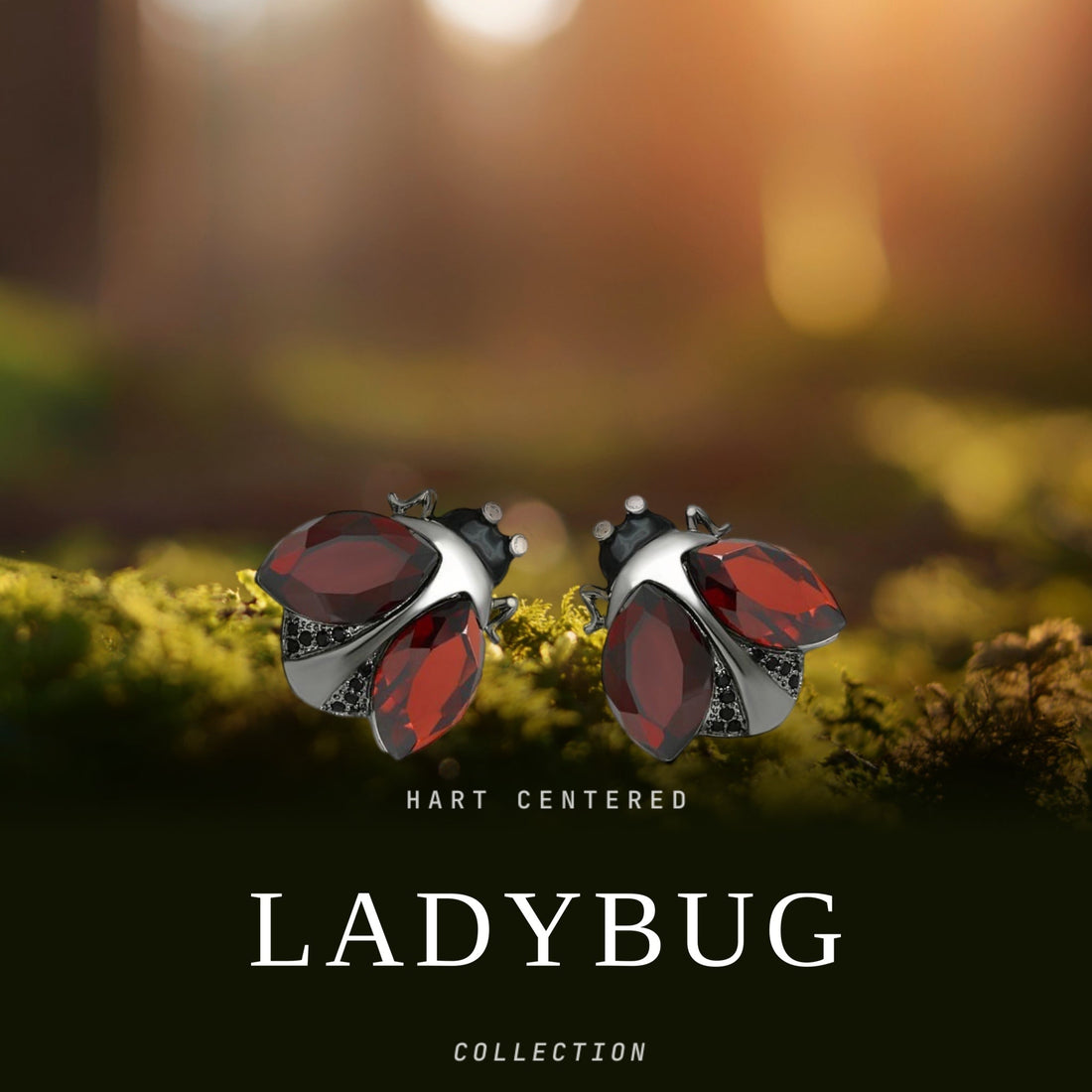 Ladybug Collection