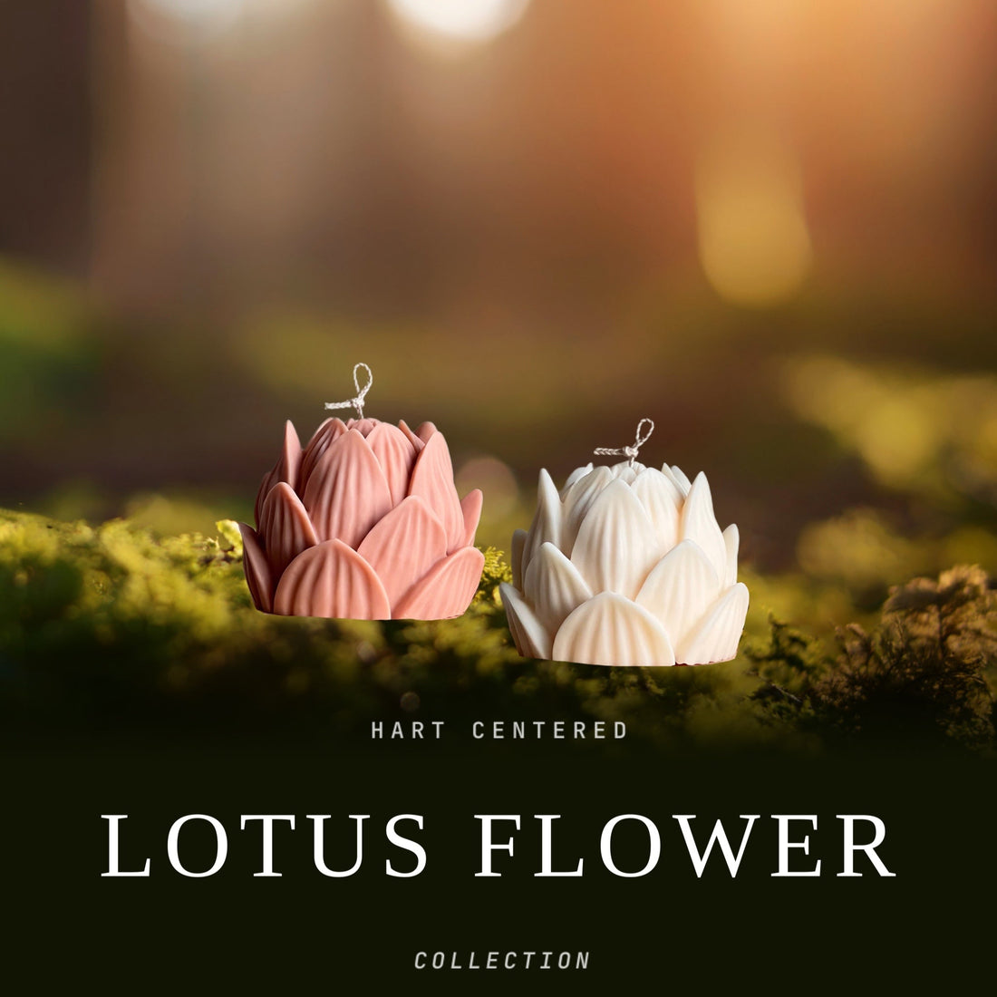 Lotus Flower Collection