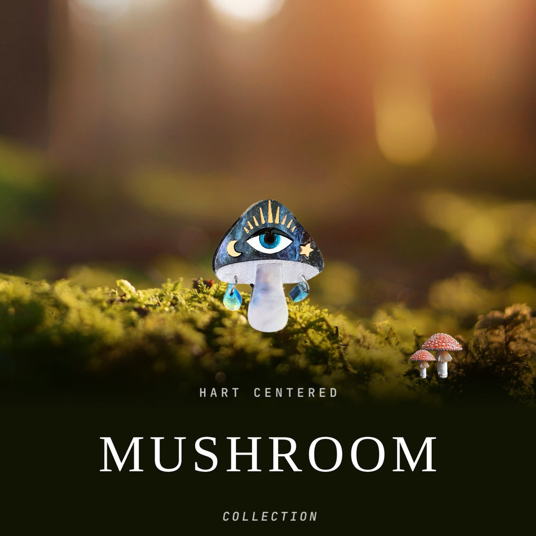 Mushroom Collection