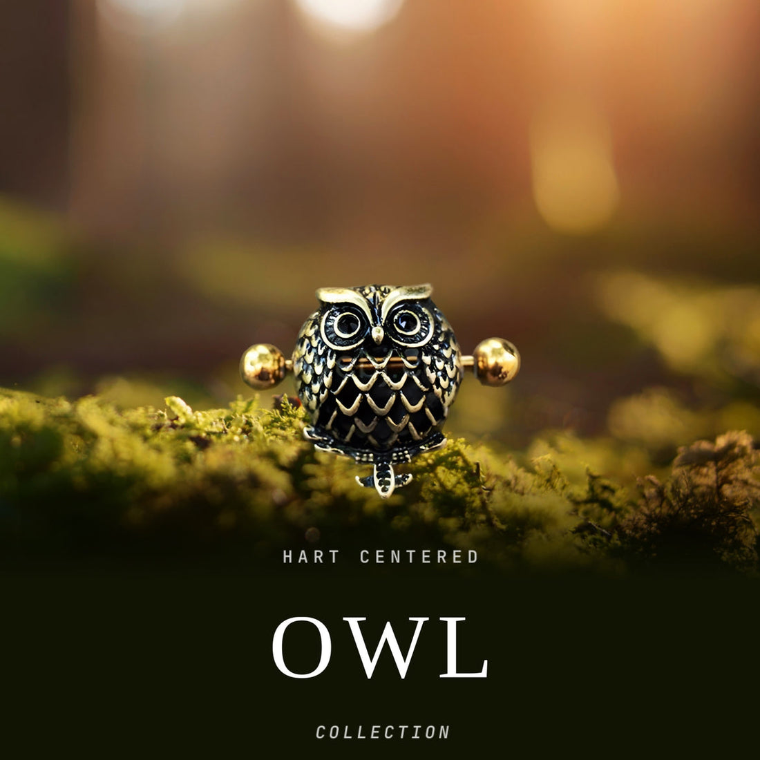 Owl Collection