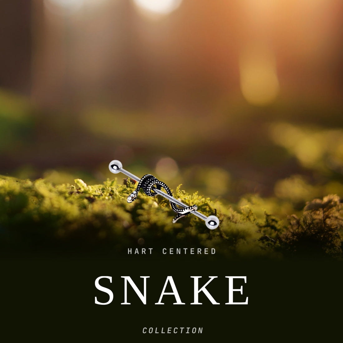 Snake Collection