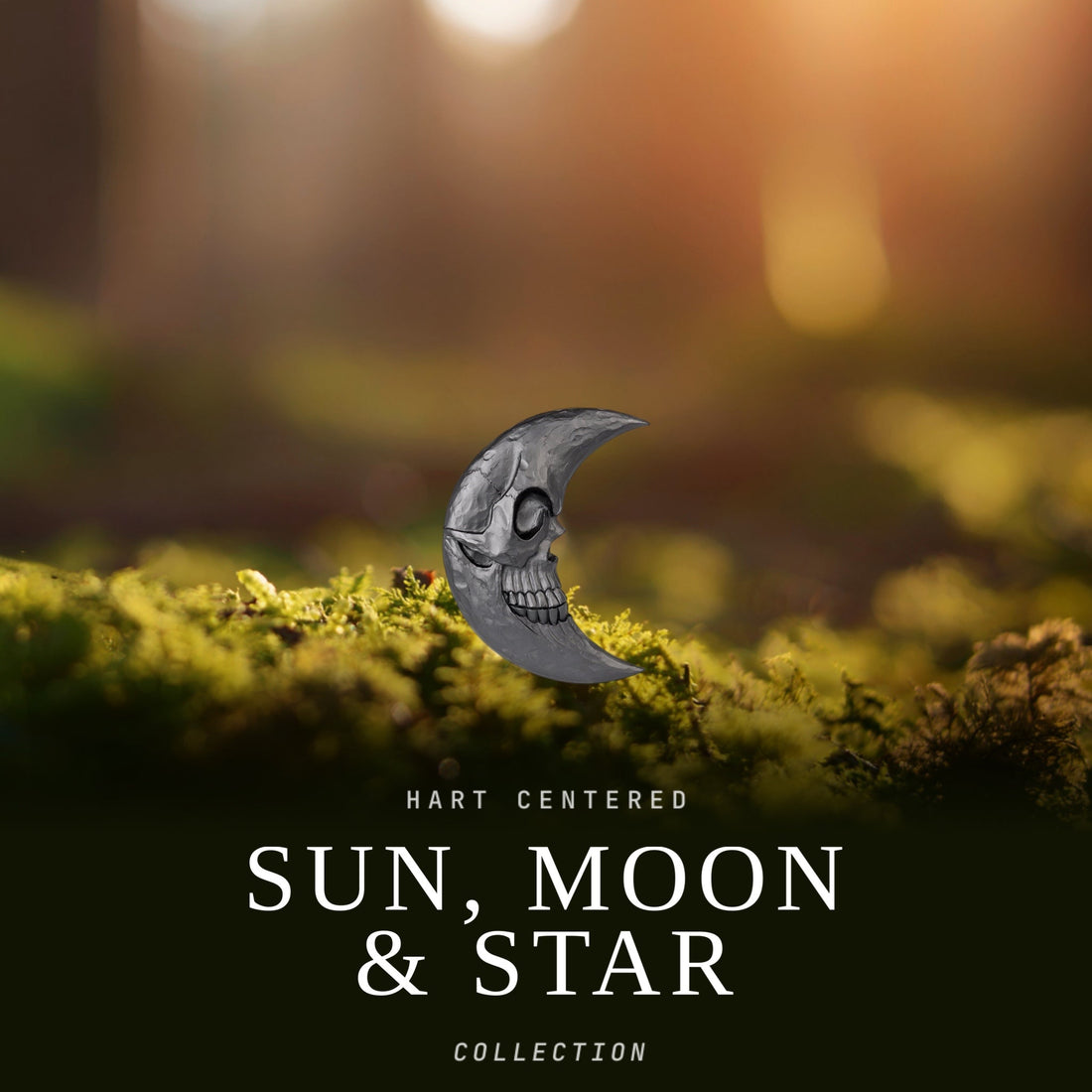 Sun, Moon, & Star Collection