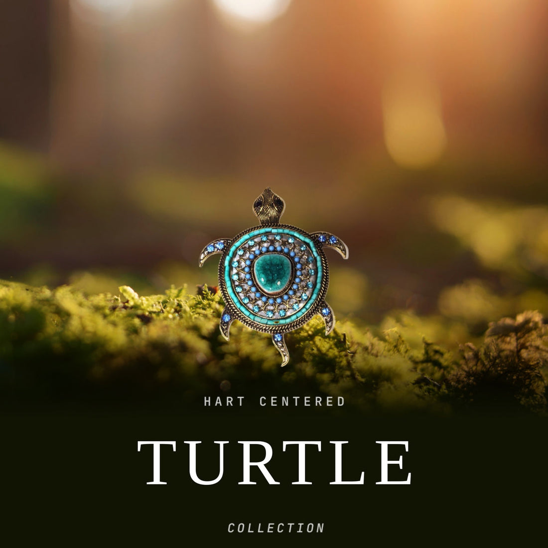 Turtle Collection