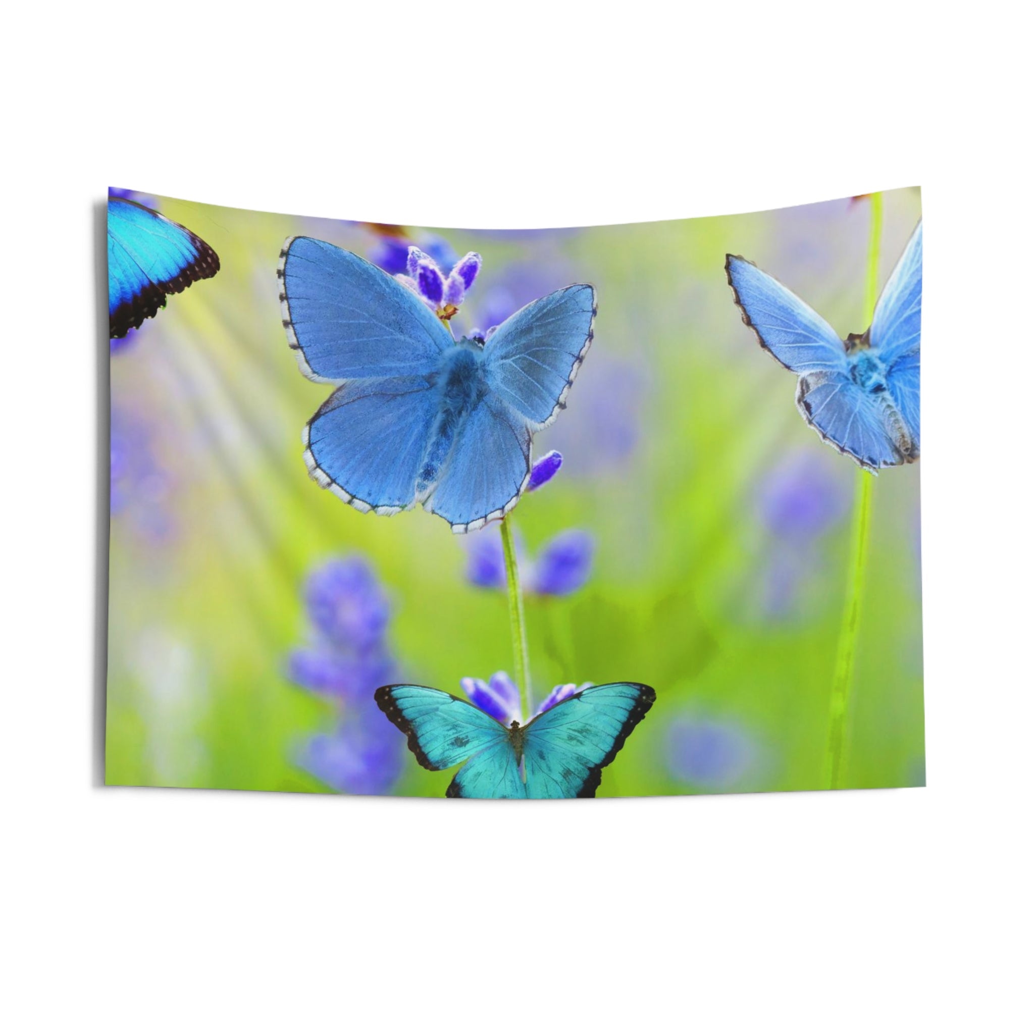 Blue Butterfly Tapestry - HartCentered