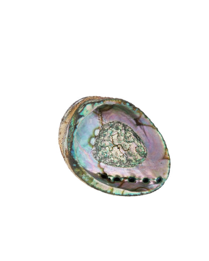 Smudge Ash Tray Burner - Abalone shell - Large 5&quot;-6&quot;-2