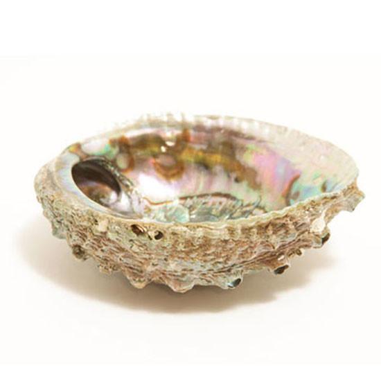 Smudge Ash Tray Burner - Abalone shell - Large 5&quot;-6&quot;-4