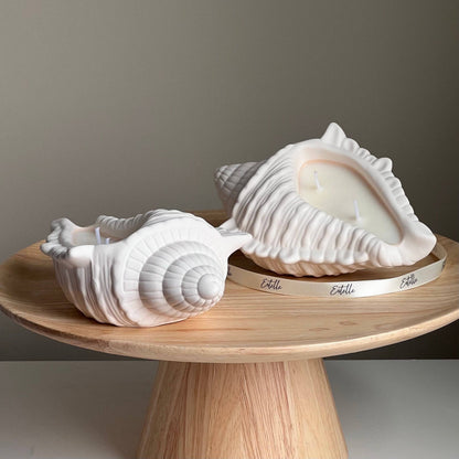 Conch Shell Container Soy Wax Candle