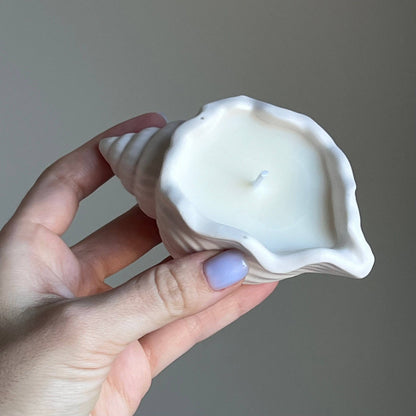 Shell Jar Soy Wax Candle