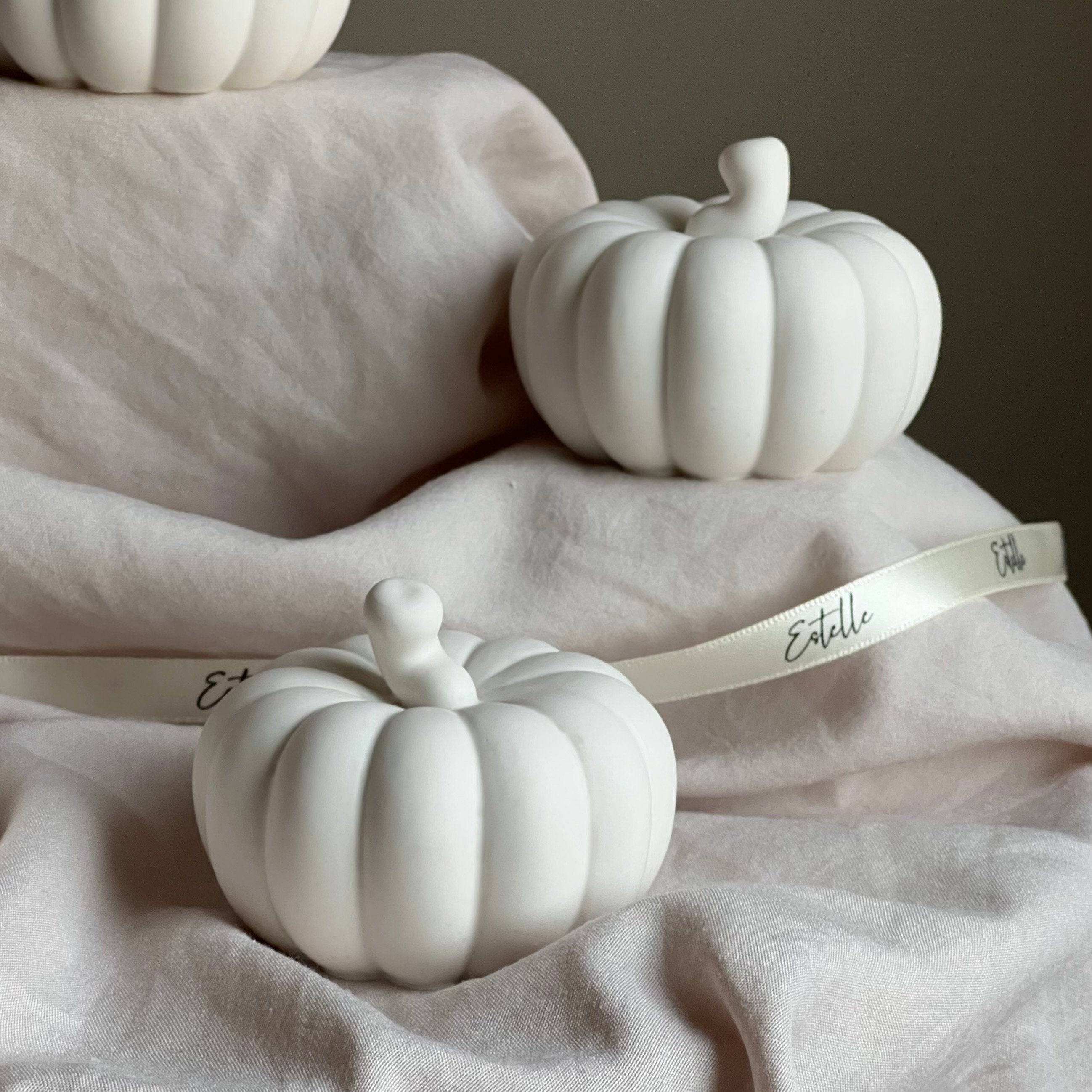 Cute Autumn Pumpkin Stone Decor