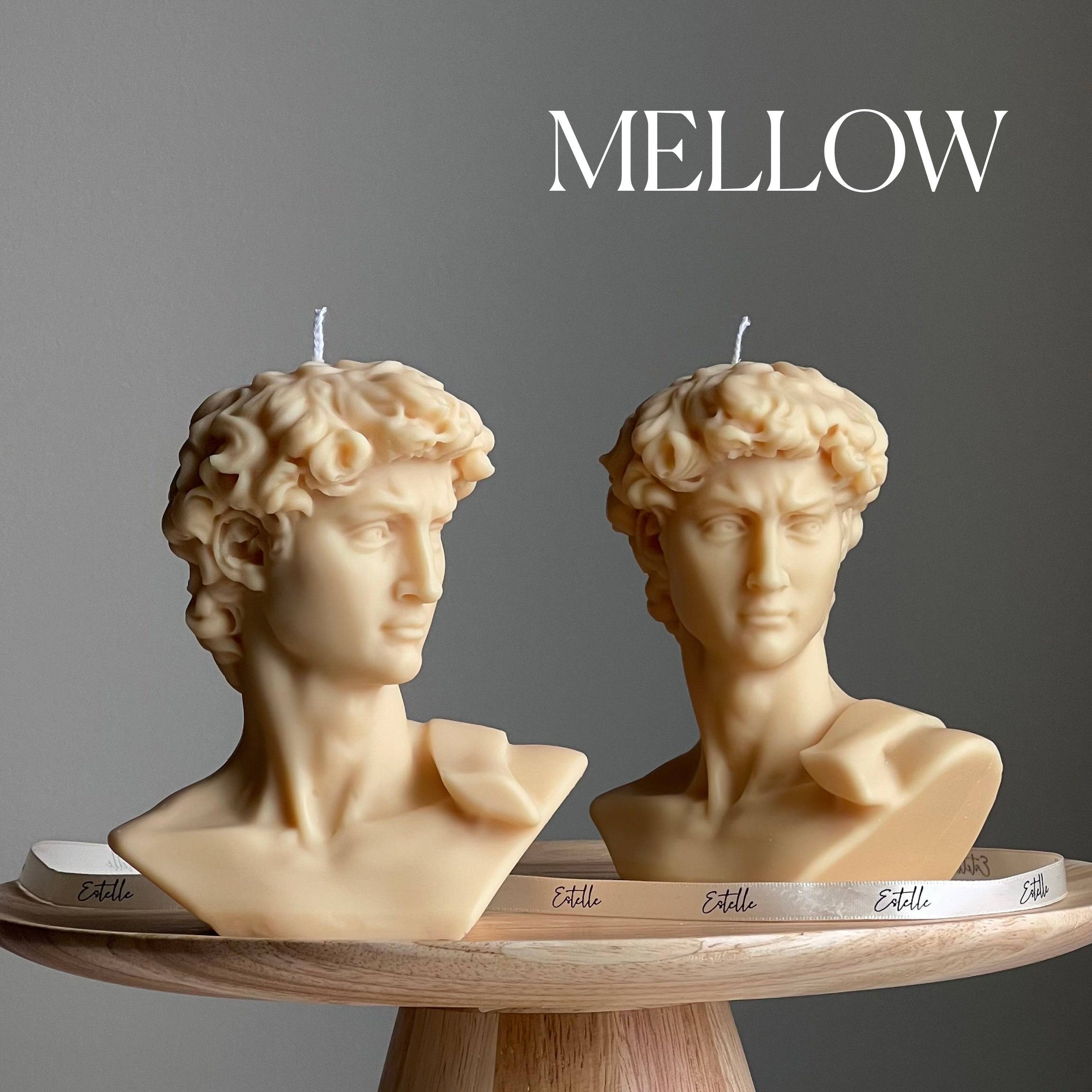 Michelangelo’s David Head Candle