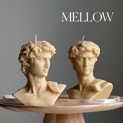 Michelangelo’s David Head Candle