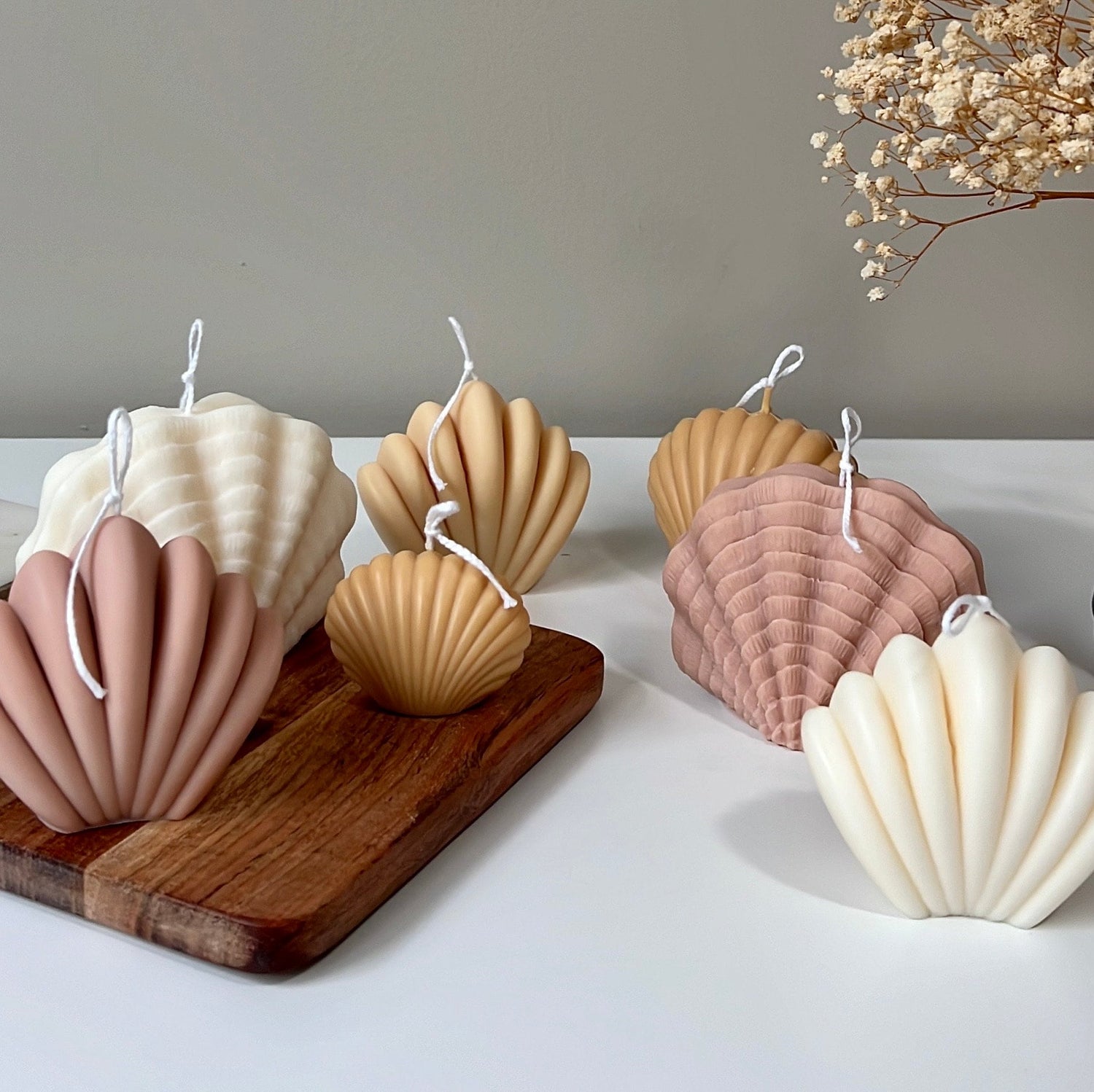 Large Sea Shell Candle - HartCentered