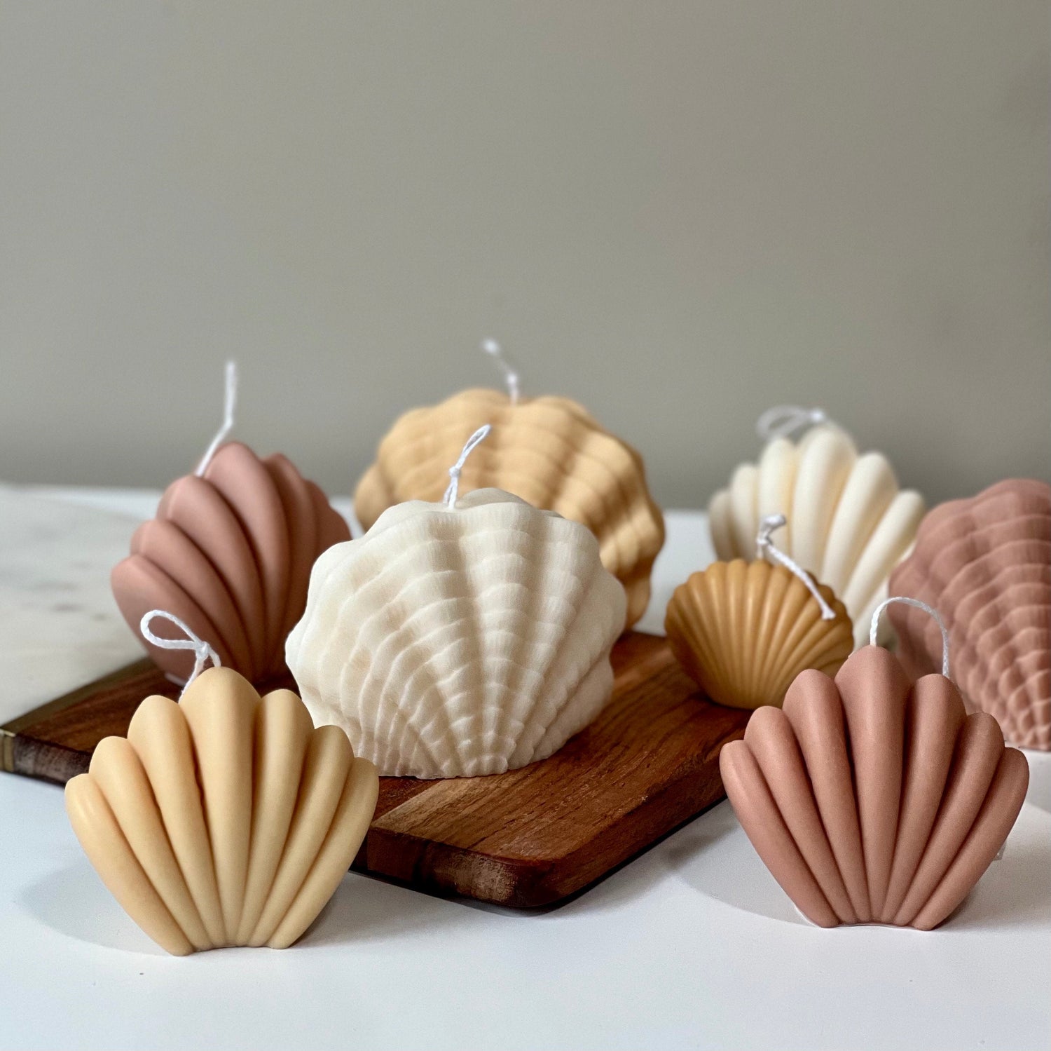 Large Sea Shell Candle - HartCentered