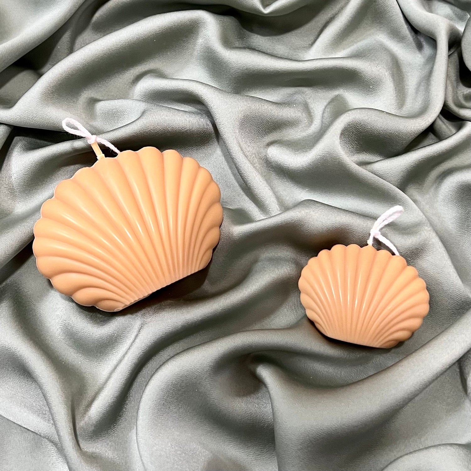 Shell Candle Set - HartCentered