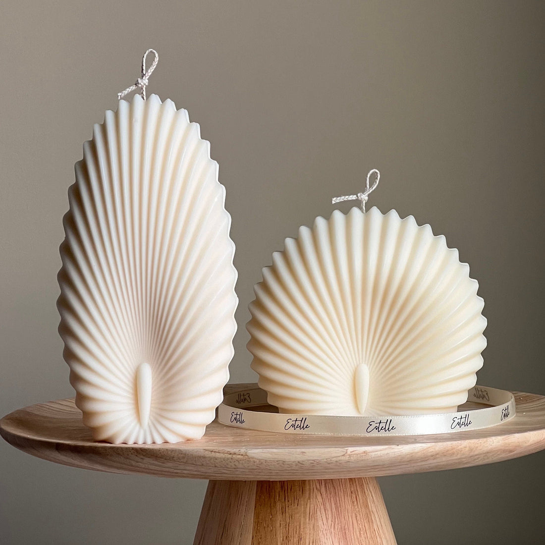 Sea Shell Candle Duo - HartCentered