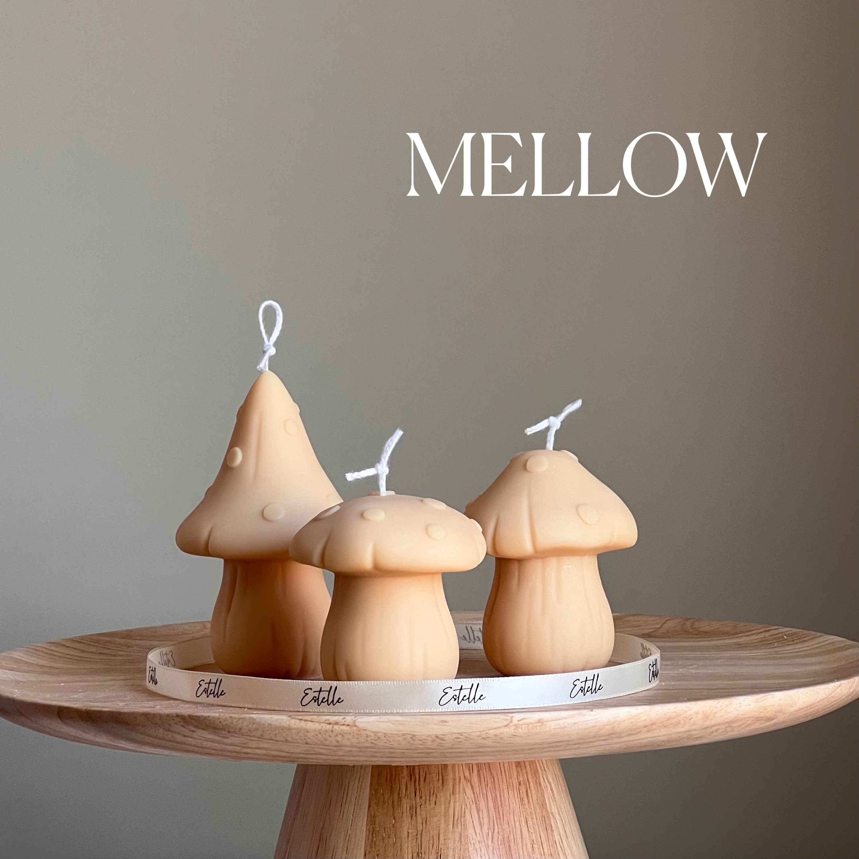 Cute Mushrooms Candle Set - HartCentered