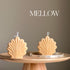 Shell Candle-3