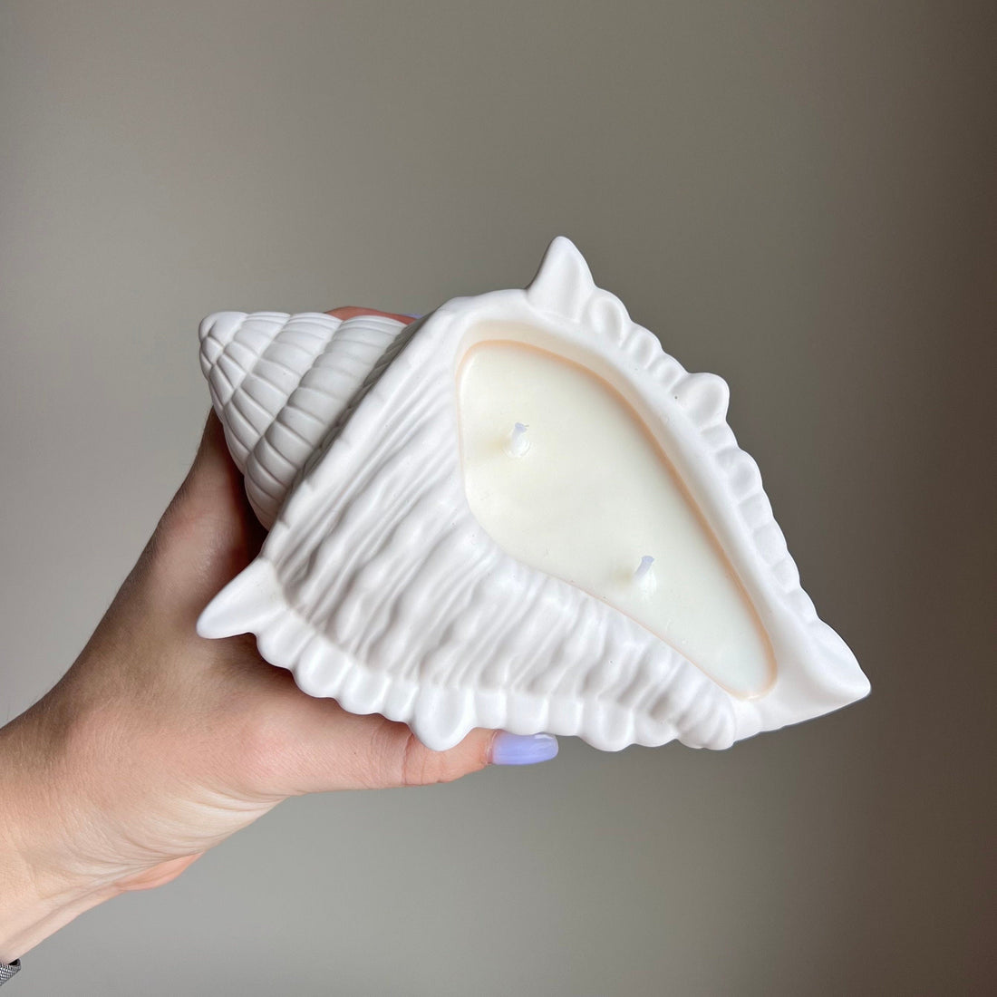 Conch Shell Container Soy Wax Candle-1