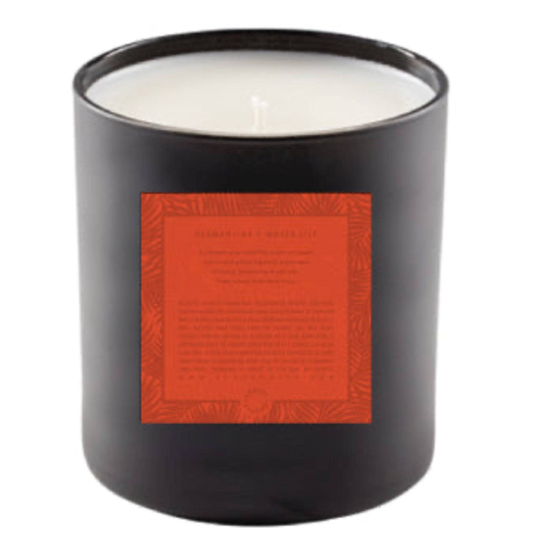 Soy Candle | Clementine + Water Lily