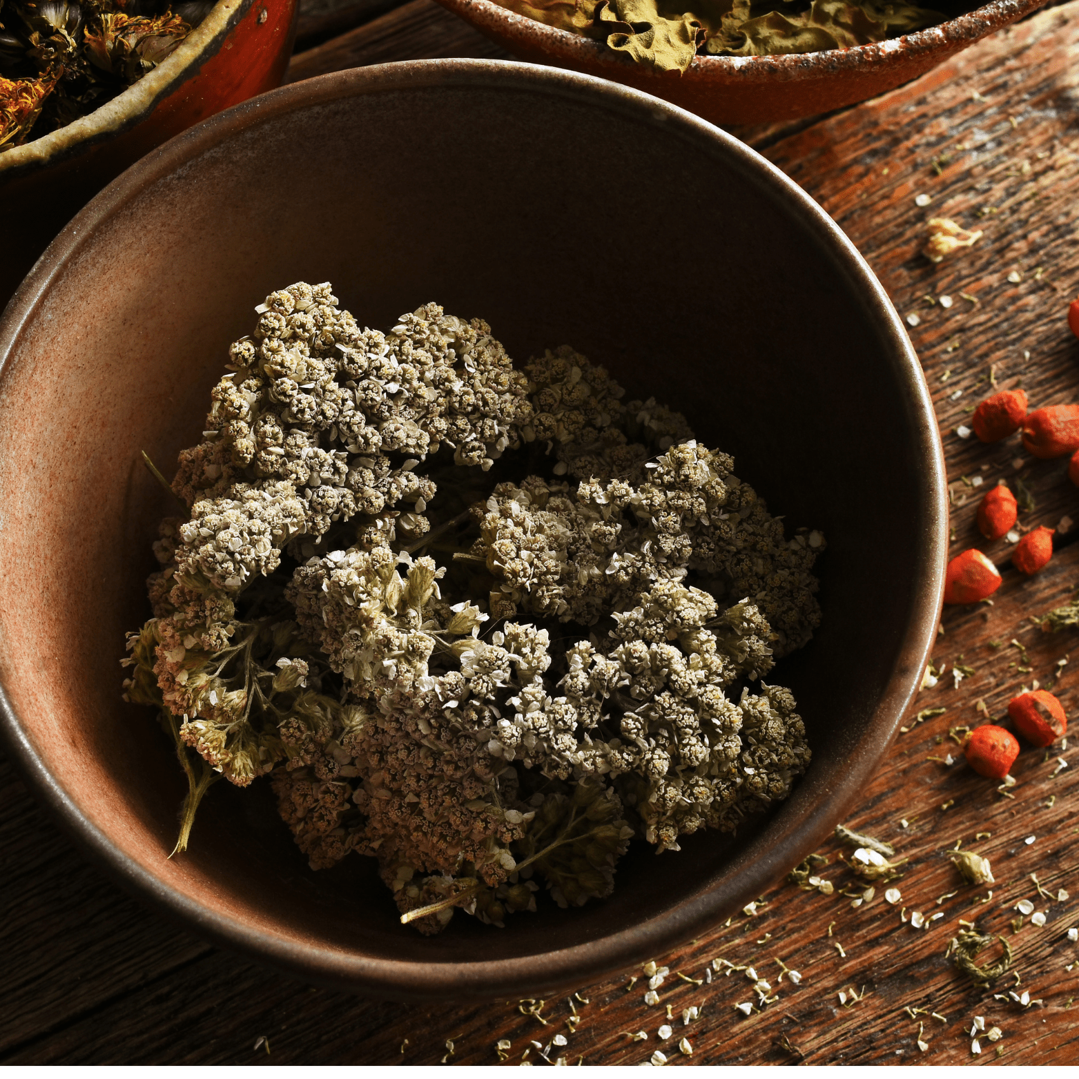 Yarrow Flowers Herb For Topical Wound Healing, Heighten Senses for Ritual and Intuition